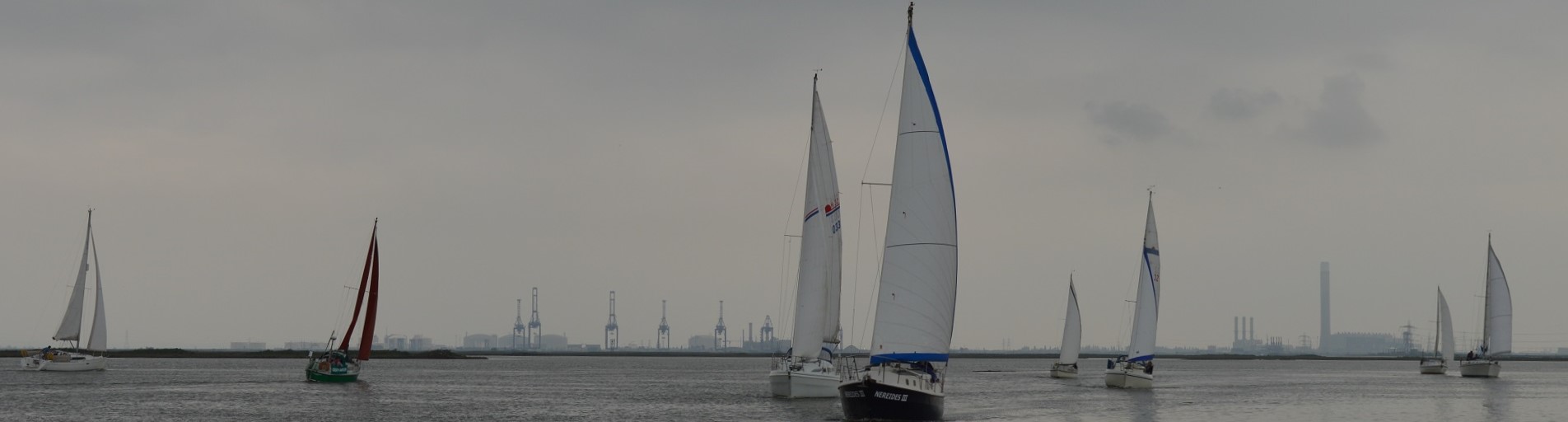 Read more about the article ToT