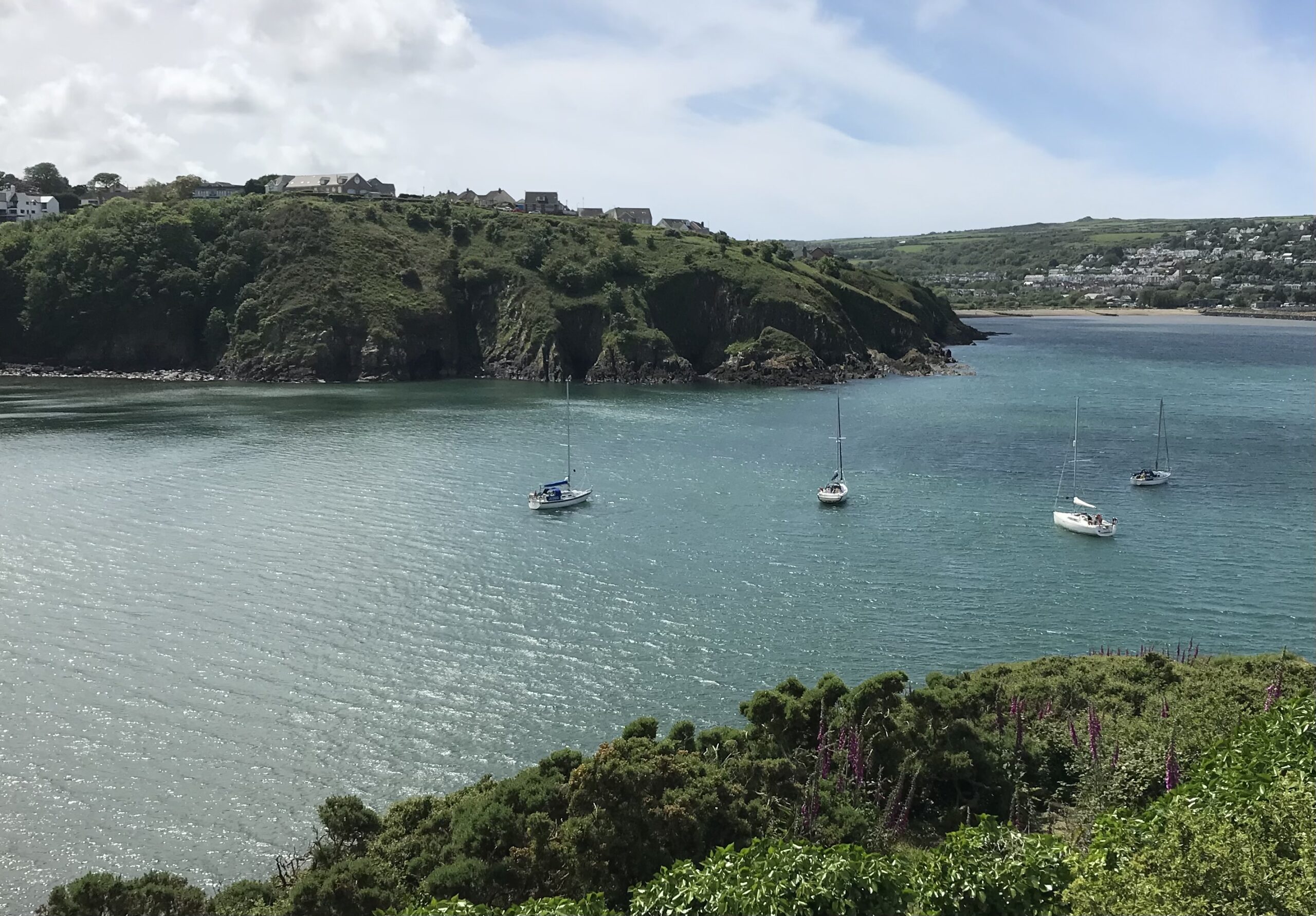Read more about the article Day 13 Milford Haven to Fishguard