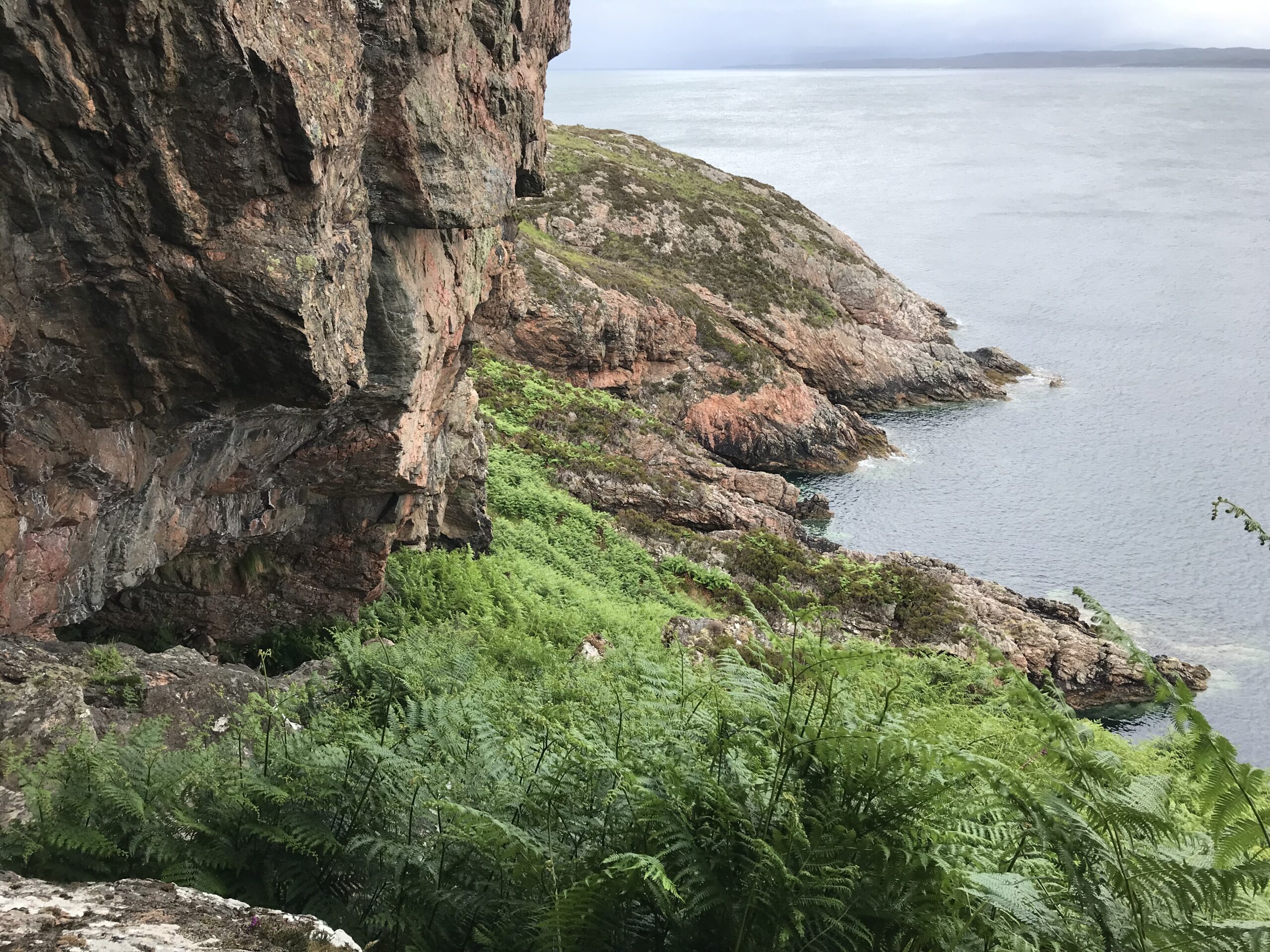 Read more about the article A windy and wet afternoon in Rona